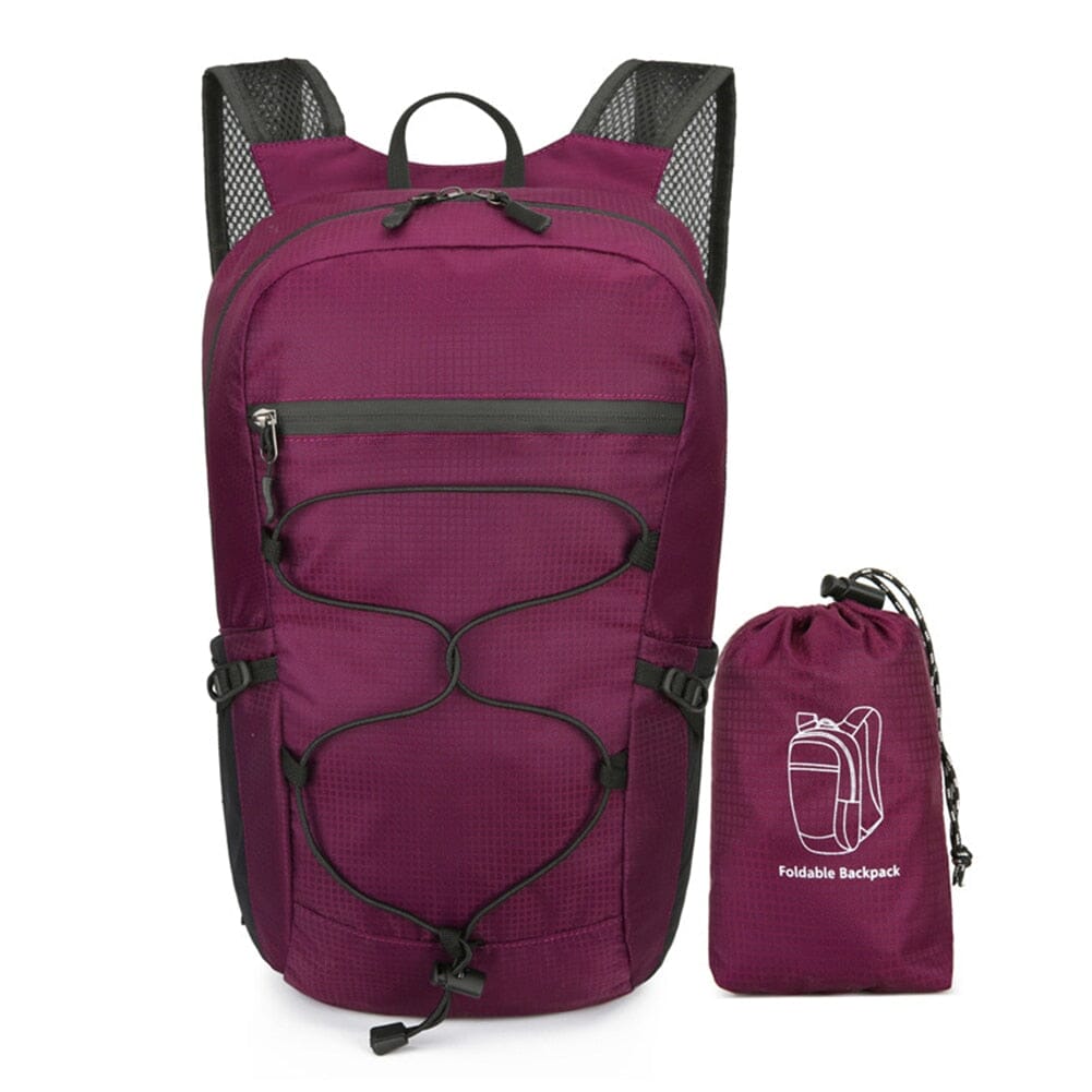 Sac à Dos Pliable et Imperméable 20L | PackNGo Violet